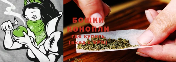 ПСИЛОЦИБИНОВЫЕ ГРИБЫ Балабаново