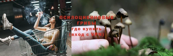 спиды Балахна